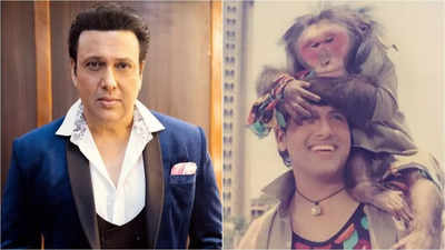 Govinda reveals how a monkey became the star of 'Aankhen' - Times of India