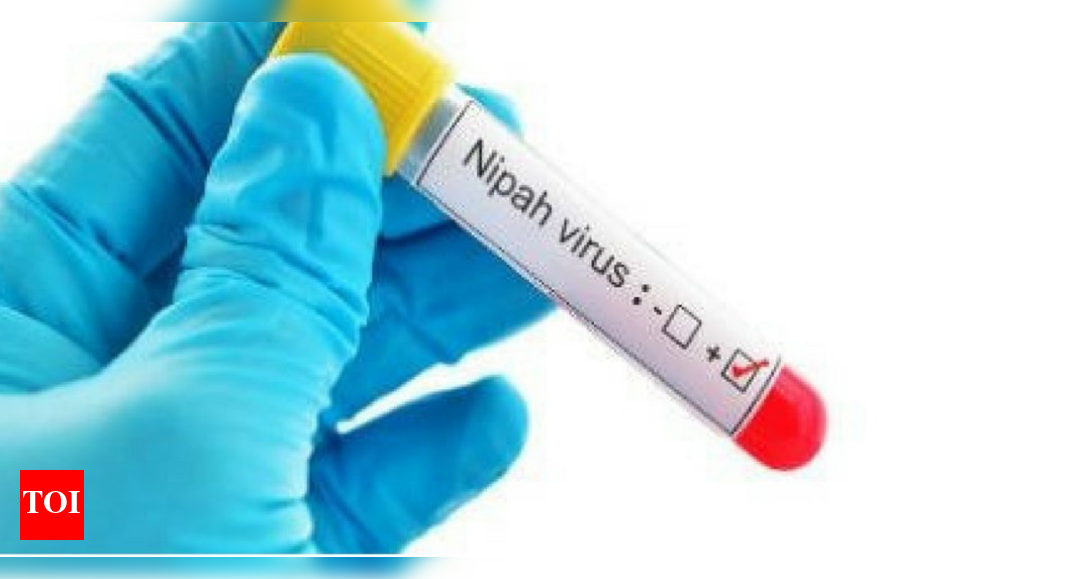 Nipah virus in Kerala: All you need to know