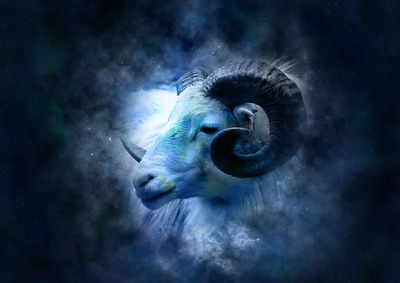 Aries compatibility with Capricorn: Love, marriage and sex