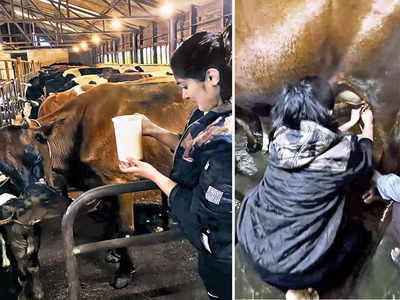 Animal activists slam Nivetha Thomas for milking chained cow | Telugu Movie  News - Times of India