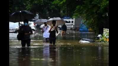 Maharashtra: Rains claim 31 lives in one week in Marathwada region