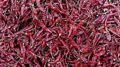 Kerala: Spice farmers get online help to fight plant disease