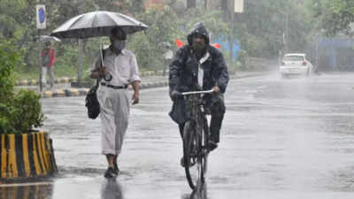 Maharashtra rains: Over 200 buildings, 600 km roads damaged in rural Aurangabad