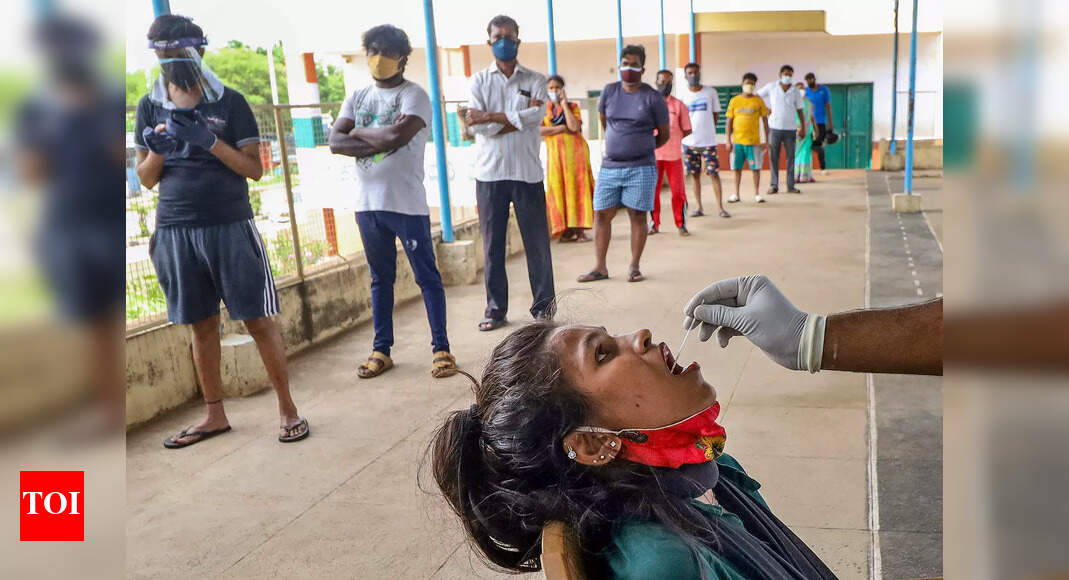 Karnataka news Four districts report zero new Covid cases The Times