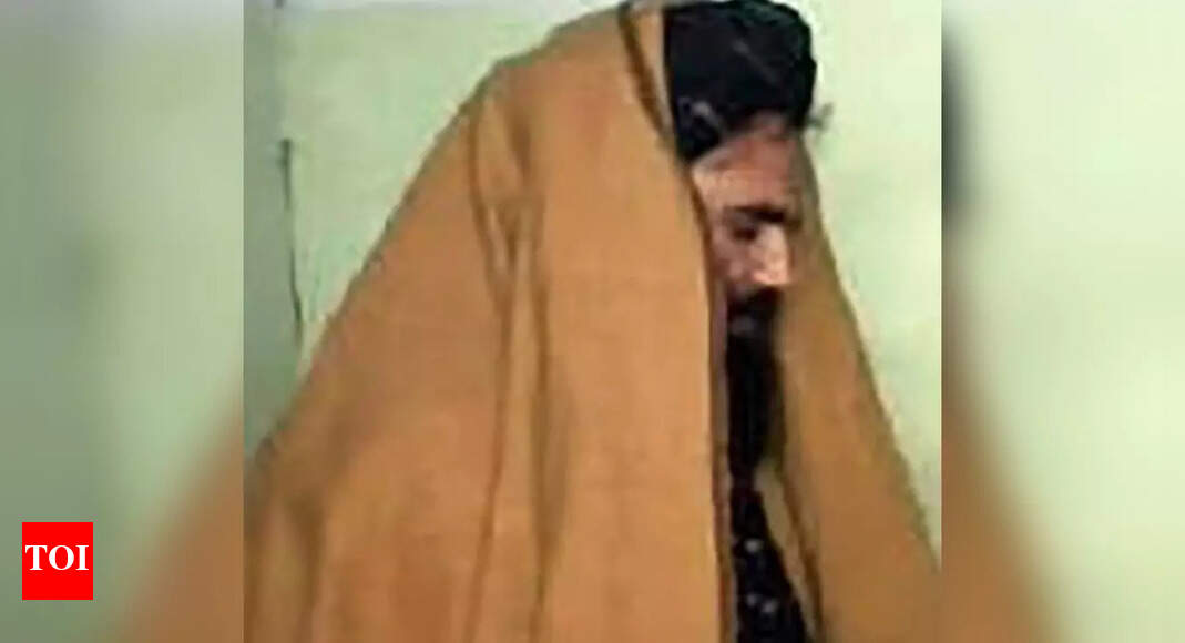 , Taliban say Haqqani on US terror list is violation of Doha pact, The World Live Breaking News Coverage & Updates IN ENGLISH