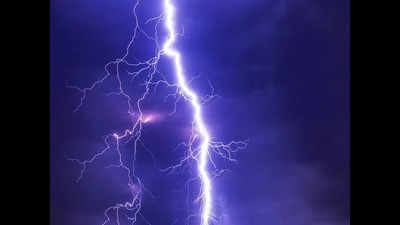 Maharashtra: Three killed in two separate lightning incidents in Nagpur