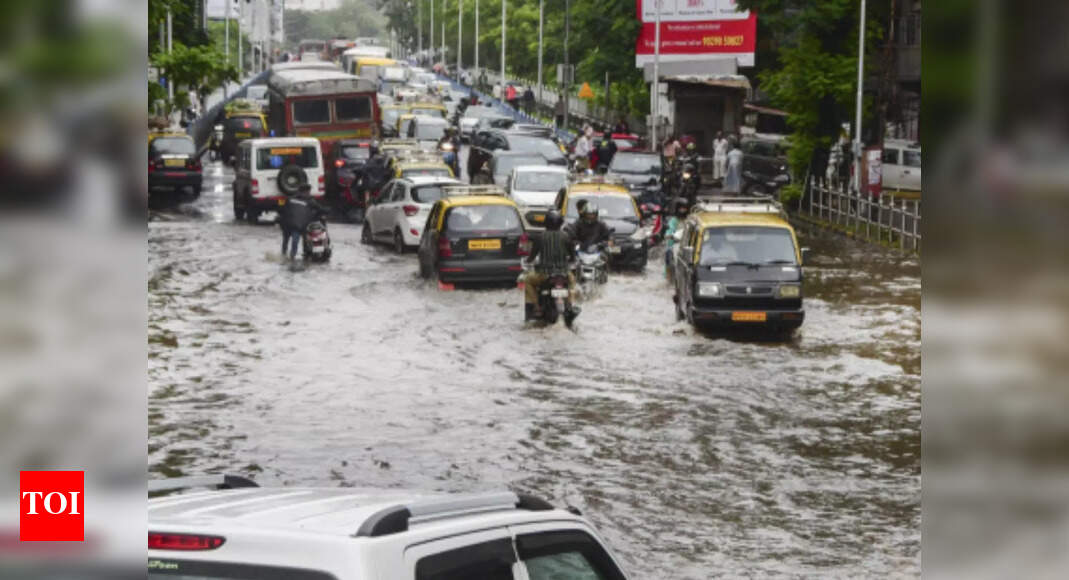 Rainfall recorded in August lowest in 12 years: IMD