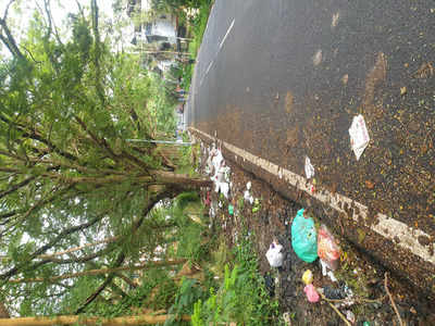 Garbage on Maveli Road