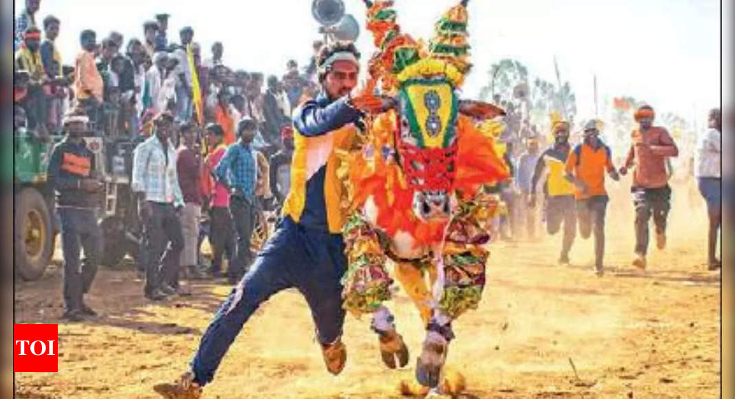 Karnataka: Few takers for bulls as a rural sport suffers | Hubballi ...