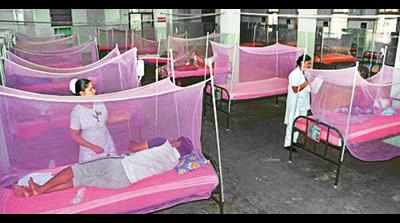 Vijayawada sees surge in viral fever cases