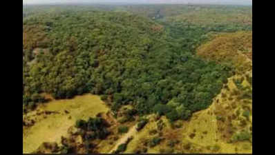 8,000 hectares of Aravalis in Faridabad not part of NCZ: Haryana govt