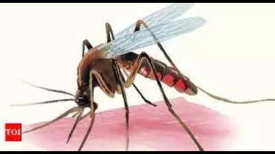 700 malaria tests daily this month in Ghaziabad