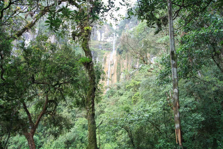 Yumbilla Falls (2940 ft), Peru