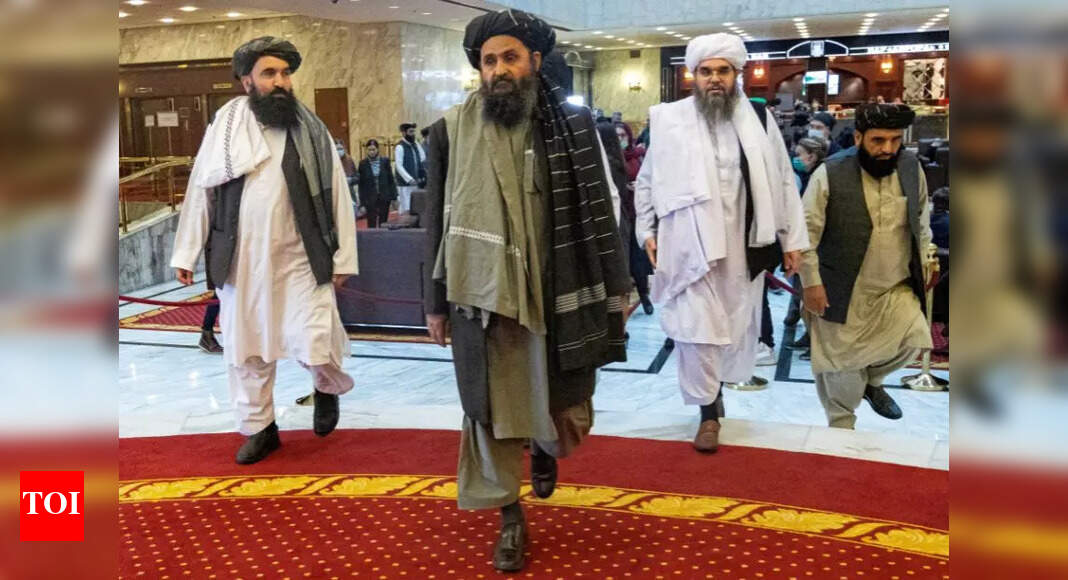 Baradar absent from meetings with the Qatar delegation;  Haqqanis, his super-present rivals