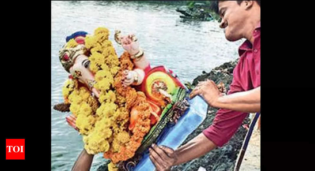 No immersion of PoP Ganesh idols: T'gana HC