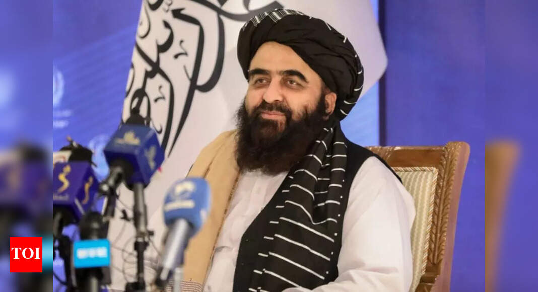 FM says Taliban govt won’t allow militant attacks on others – Times of India