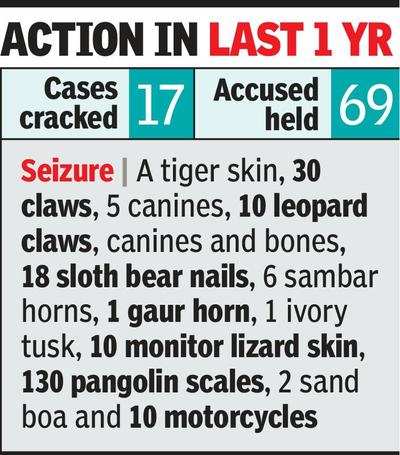 Melghat cyber cell gives a hard time to wildlife criminals