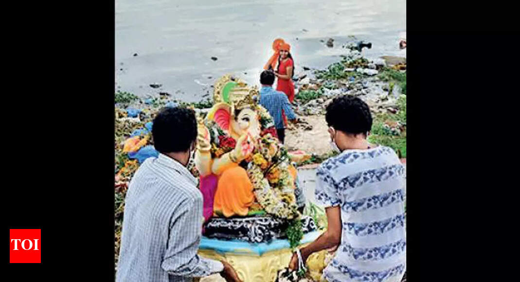 T'gana govt moves SC against HC order on PoP idols