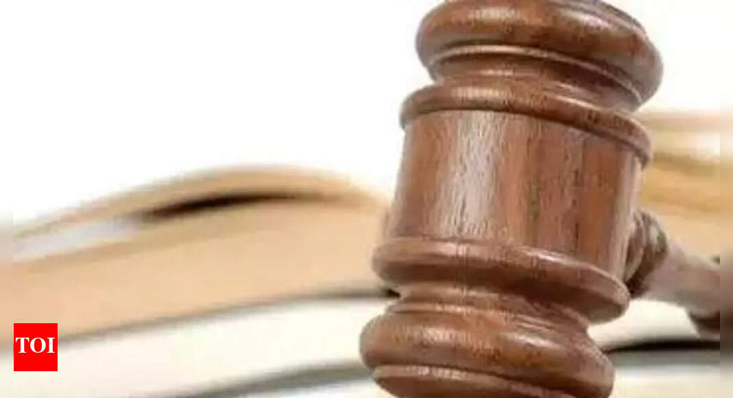 Pandemic blues: Lower court pendency at record 4cr now