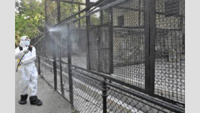 West Bengal: Zoos to reopen today after 5 months