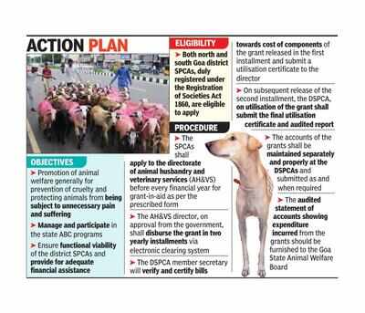 Non-profit animal welfare bodies to receive financial aid from govt | Goa News - Times of India Non-profit animal welfare bodies to receive financial aid from govt | Goa News - Times of India