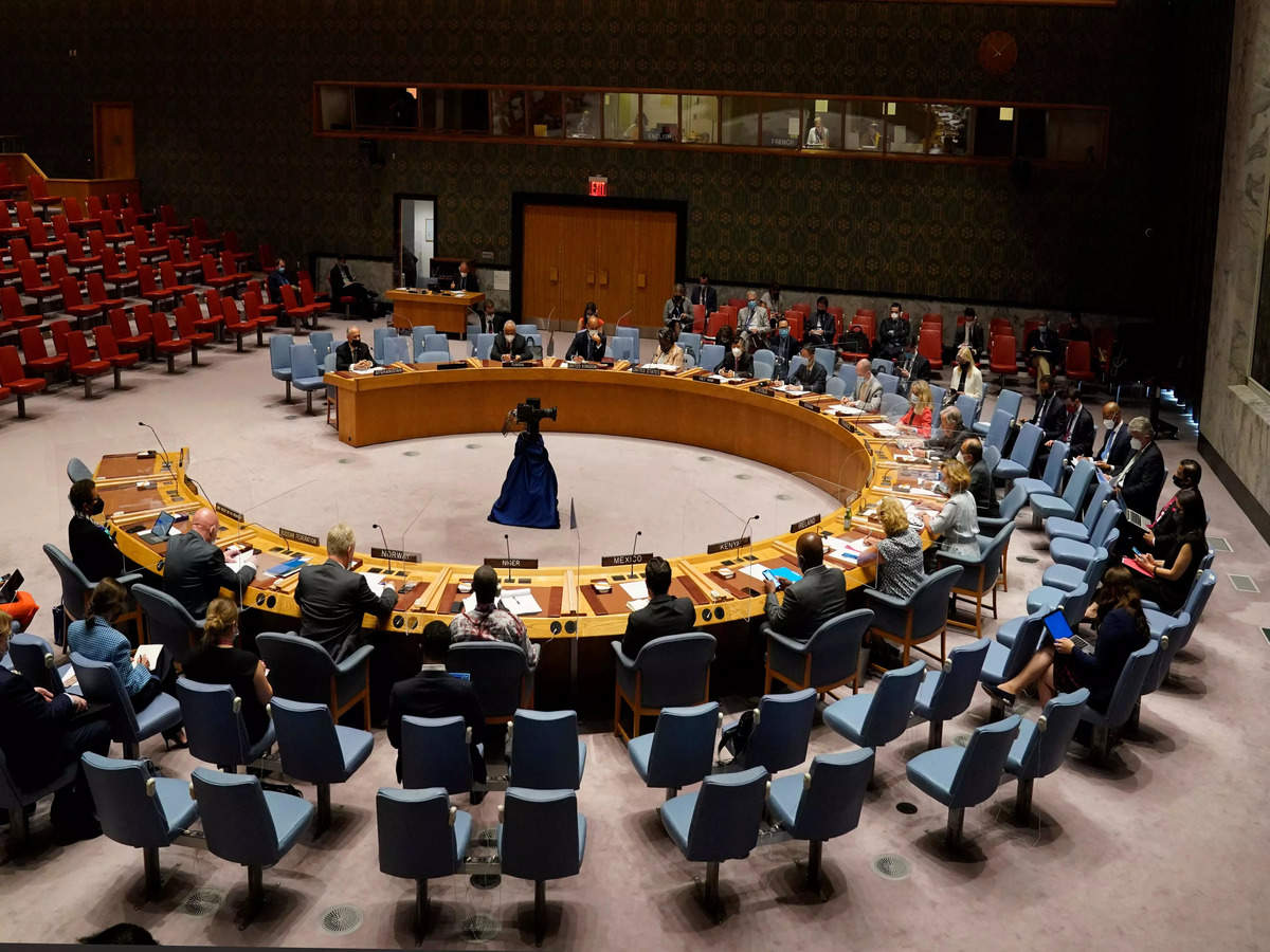 council: Security Council 'concerned' about 'major threat' from North Korea  missiles: France - Times of India