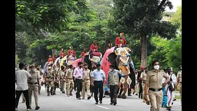 Dasara elephants checked-in to Mysuru palace