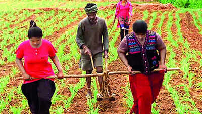 Karnataka: Three poor sisters plough land by hand in Mandya