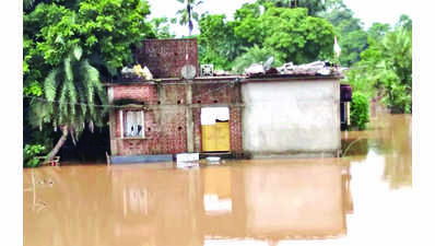 Odisha govt downgrades flood threat after water flow into Hirakud decreases