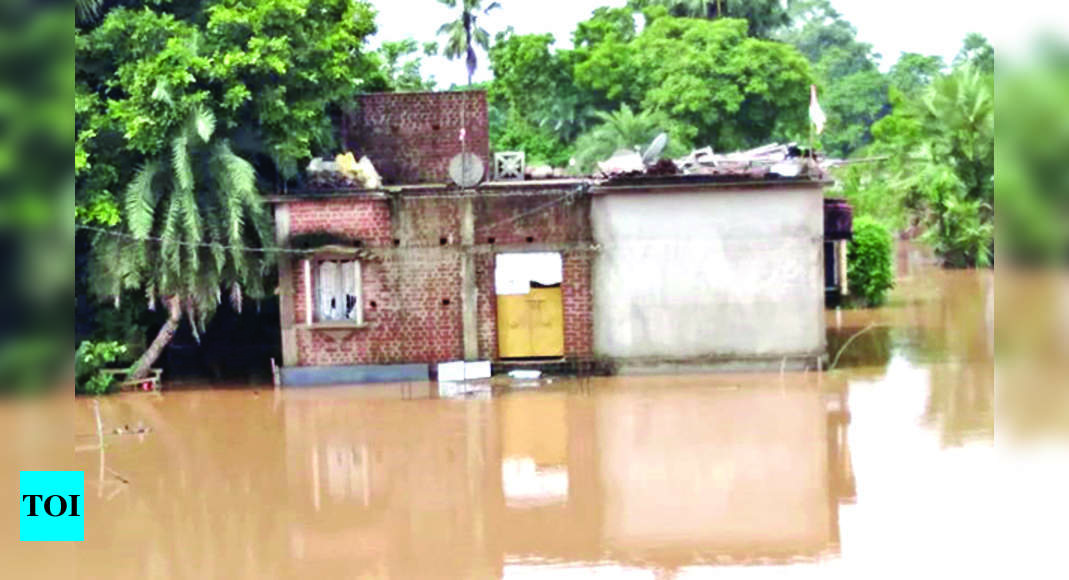 Odisha govt downgrades flood threat after water flow into Hirakud ...