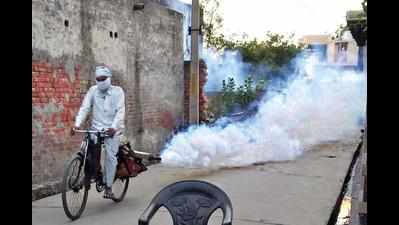 Noida goes from 0 to 13 dengue cases in just 3 days, lens on scrub typhus too