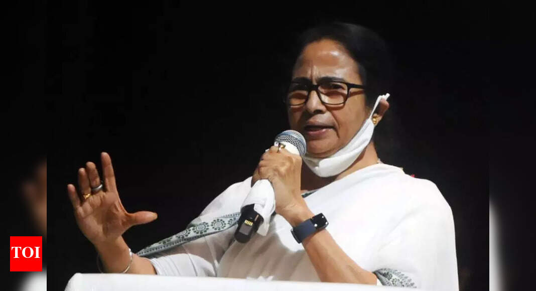 Mamata, not Rahul, only alternative to Modi: TMC mouthpiece