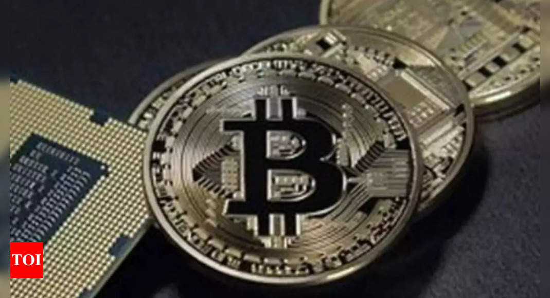 From South Africa to Latin America, developing countries currently top cryptocurrency usage – Times of India