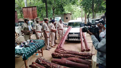 Andhra Pradesh: 3 red sanders smugglers held in Tirupati, logs worth Rs 1 crore seized