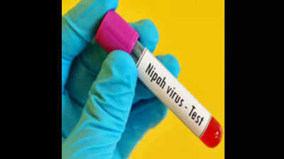 Source of Nipah virus unclear