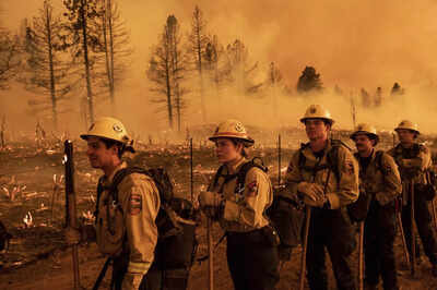 California firefighters scramble to protect sequoia groves