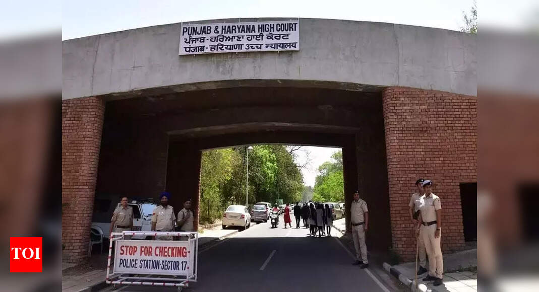 Marriage valid if minor doesn&rsquo;t call it void at 18: HC