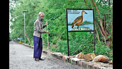 Noida: As winter nears, Okhla gets ready for winged guests