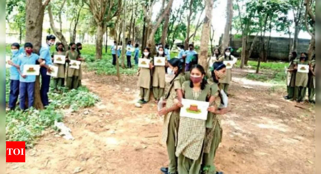 B'luru: Schoolkids launch Chipko-like stir to save 40 trees