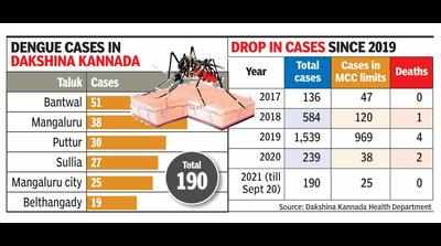 Dengue cases under control in Dakshina Kannada