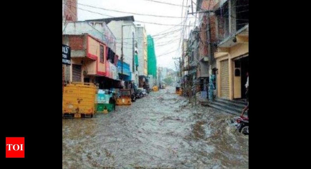 Telangana records 31% excess rainfall this year