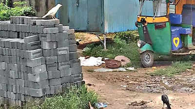 Gujarat: White crow creates flutter in Gandhinagar village