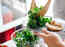 An Ayurvedic doctor clears myths about consuming leafy green vegetables