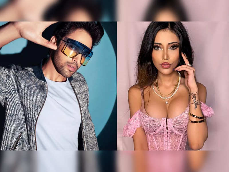 Parth Samthaan with Ramanand Sagar's bold great-granddaughter Sakshi Chopra in a web show?- Exclusive!