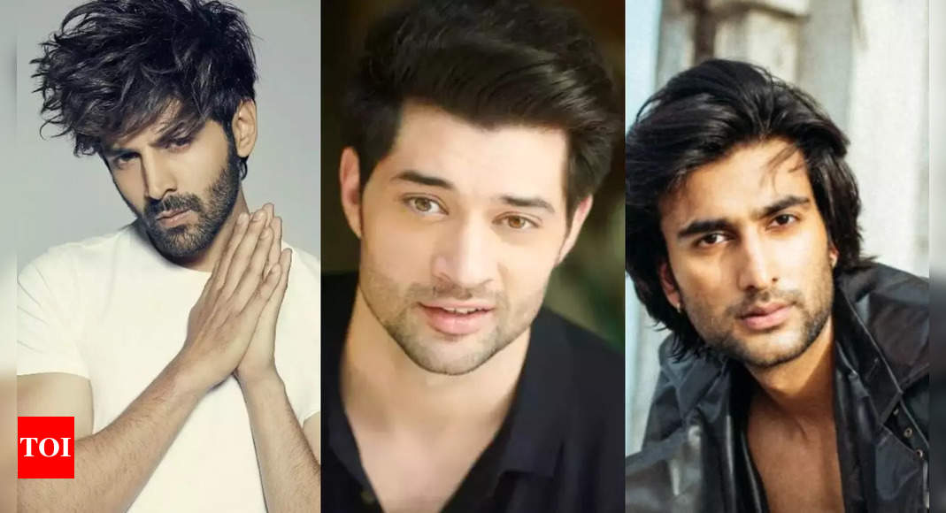 Did you know that Rajveer Deol beat Kartik Aaryan and Meezaan Jaffrey ...