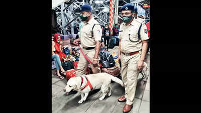 Mumbai: Central Railway’s new recruits ‘Surya’ & ‘Simbha’ to sniff out drug menace