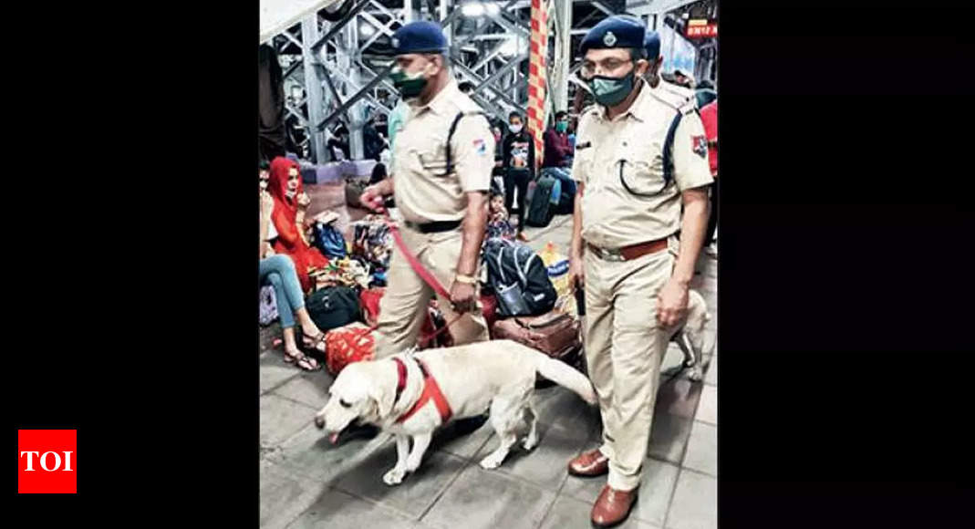 CR’s new recruits to sniff out drug menace