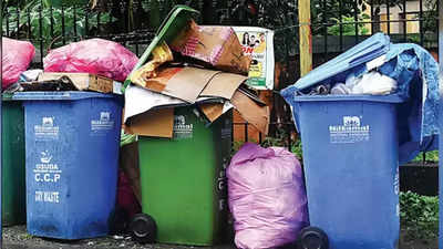 Delhi: Mixing dry and wet waste will cost you