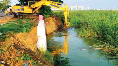 Tamil Nadu: 1 lakh workers begin to clean drains in urban local bodies