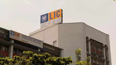 Govt may let foreign investors buy up to 20% in LIC IPO: Source